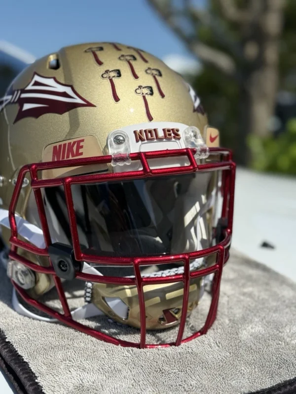 FLORIDA STATE SEMINOLES CUSTOM RIDDELL SPEED FOOTBALL HELMET - Image 3