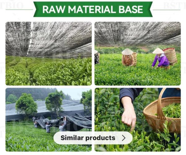 Matcha & Frontrow Tea Liquidation Pallet - Image 26